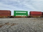 DTTX 781183